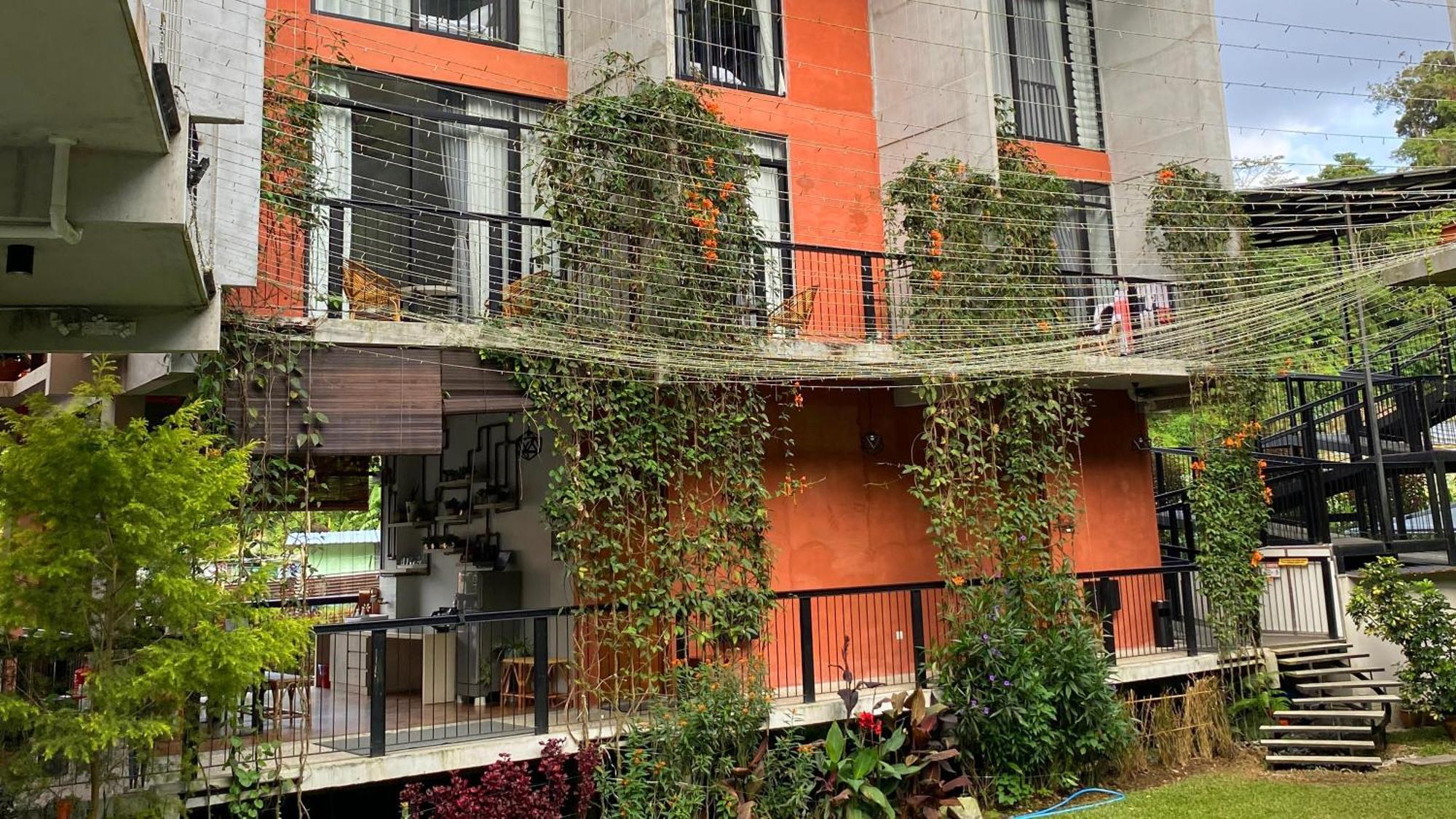 丹那拉打 门蒂吉10号旅馆酒店 外观 照片